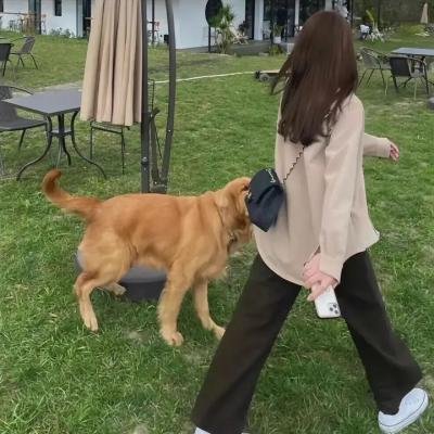 热播精选